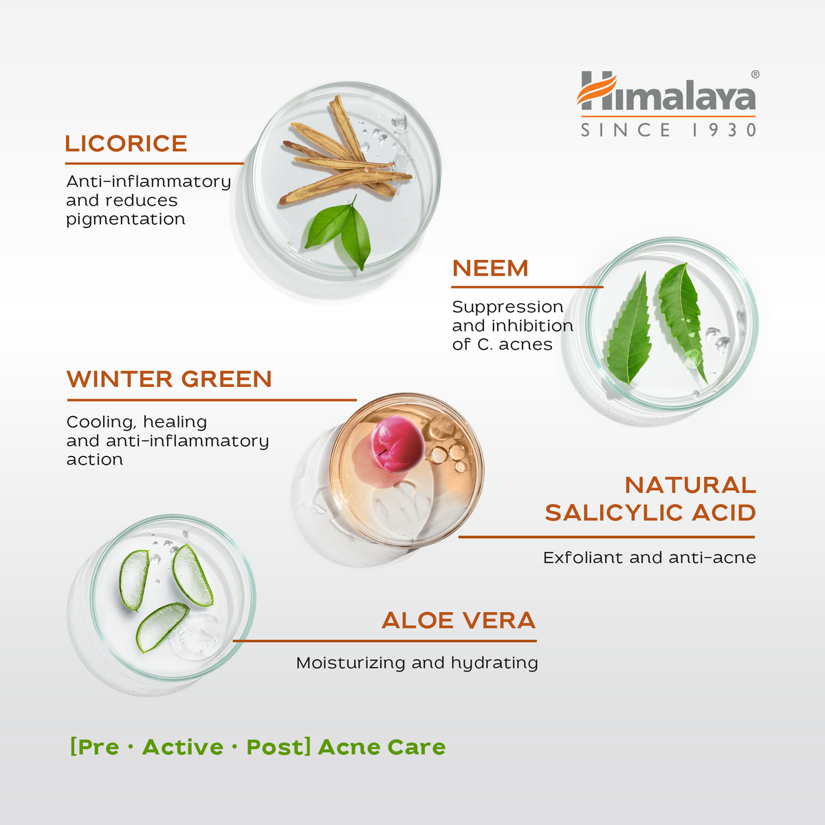 Himalaya Gel Hidratante Acne Clear+